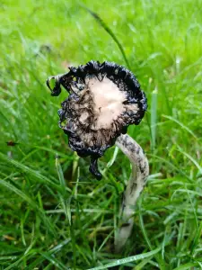 Pat 02 Moeders Mooiste